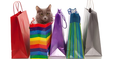 Birthday Presents Bags Cat