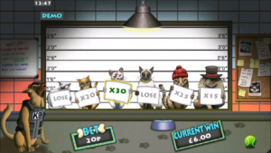 dog detectives pick and collect bonus