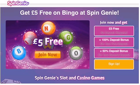 Spin Genie Bingo Promotion