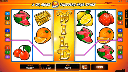 SunTide Microgaming Slot - Expanding Wilds