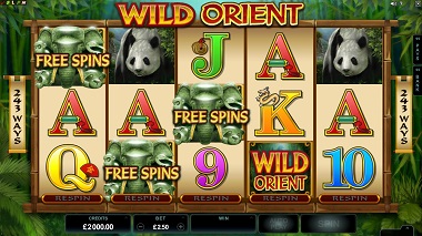 Wild Orient Microgaming Slot Extra Spins